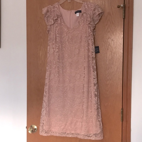 NWT | Simply Styled | XL | Blush | Lace | V Neck | Dress - Picture 1 of 2
